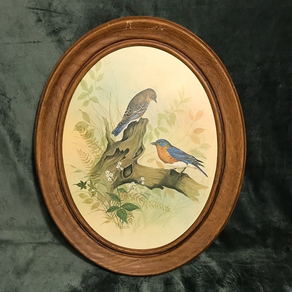 Vintage F Massa Print Bluebirds Oval Plastic Frame  Cottagecore